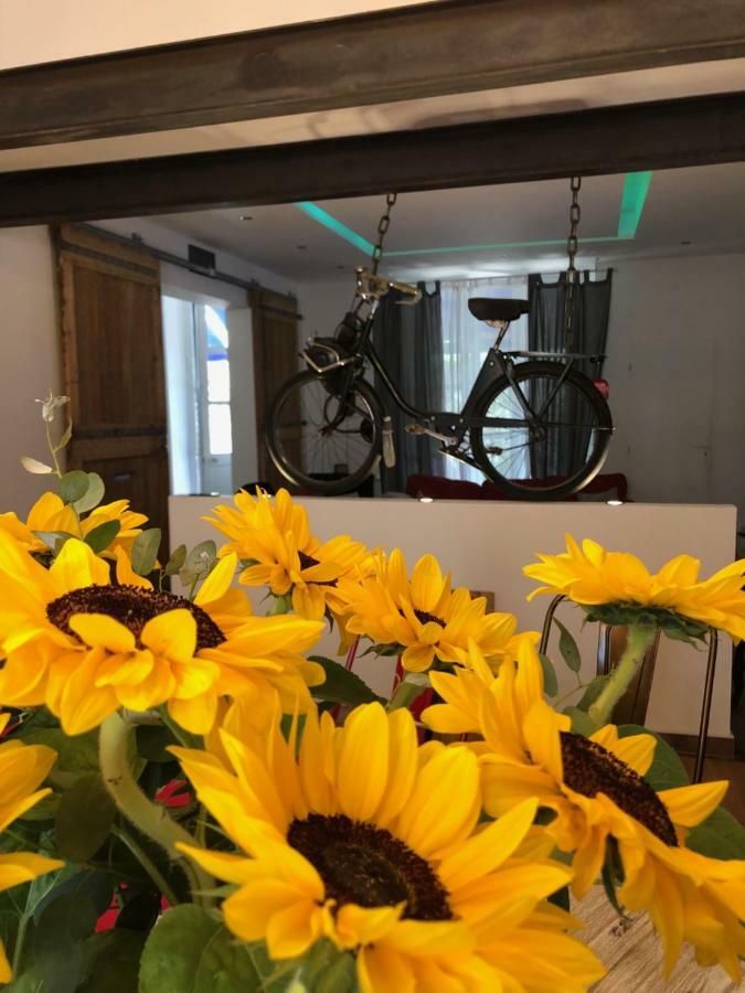 B&B - Le Jardin Du Palais 카르카손 외부 사진